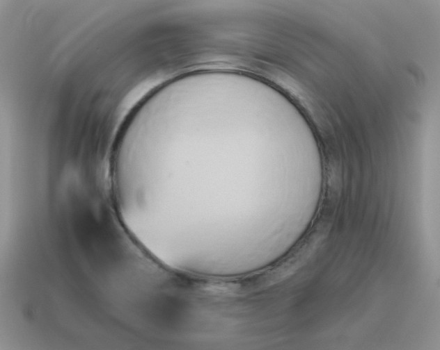 X0000114151466200910221536