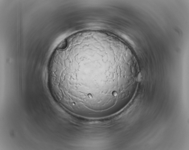 X0000114151467200910221536