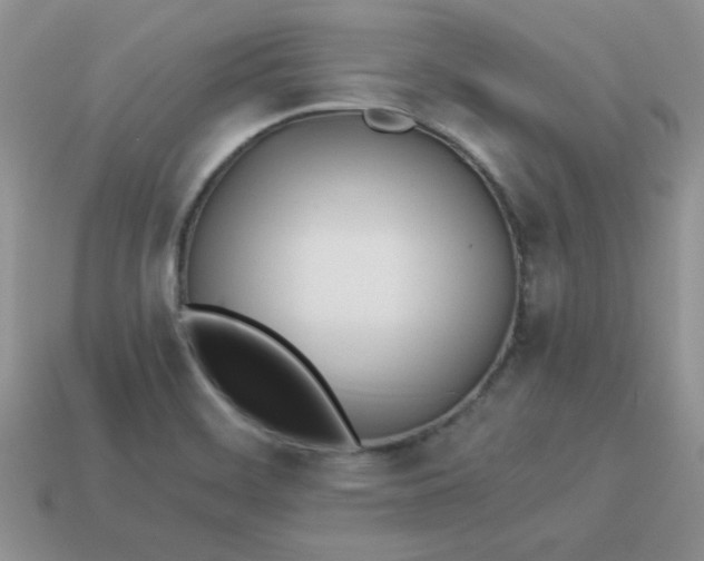 X0000114151468200910221536