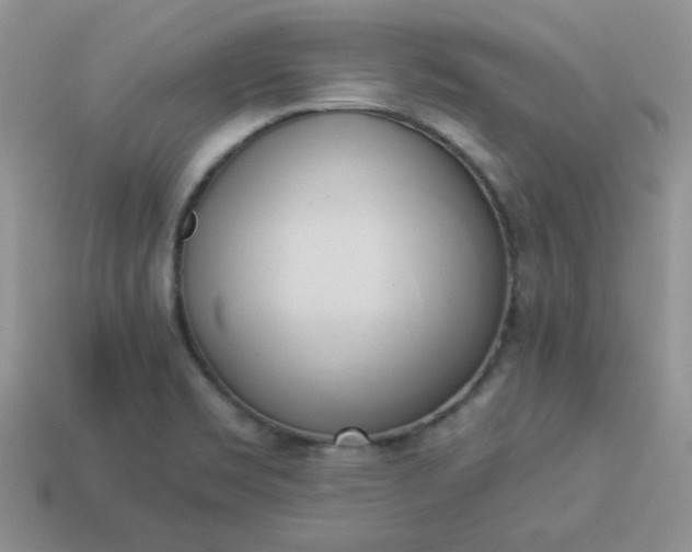 X0000114151469200910221536