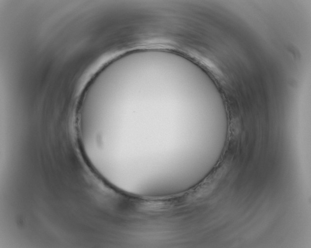 X0000114151470200910221536