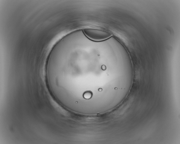 X0000114151471200910221536