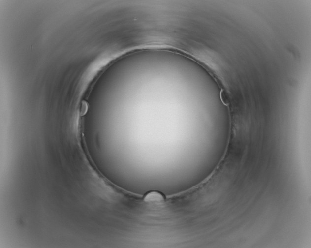 X0000114151472200910221536