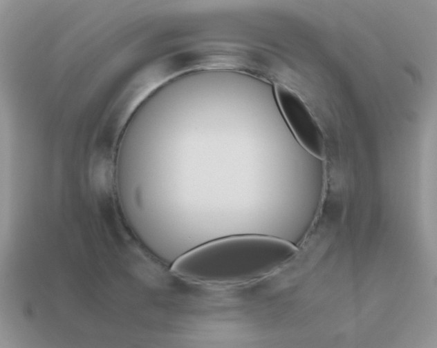 X0000114151473200910221536