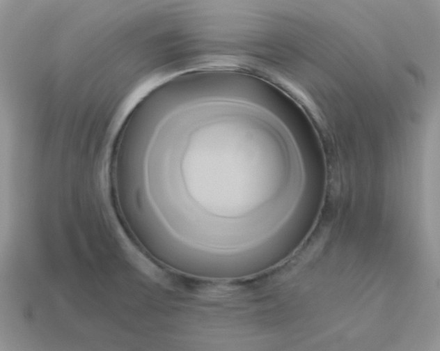 X0000114151475200910221536