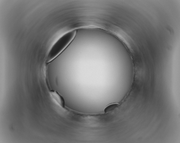 X0000114151476200910221536