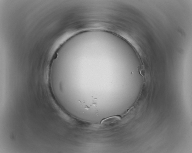 X0000114151477200910221536