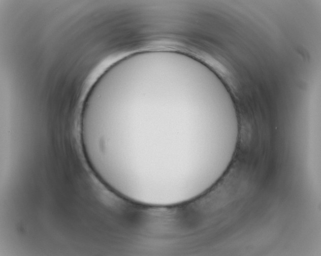 X0000114151478200910221536