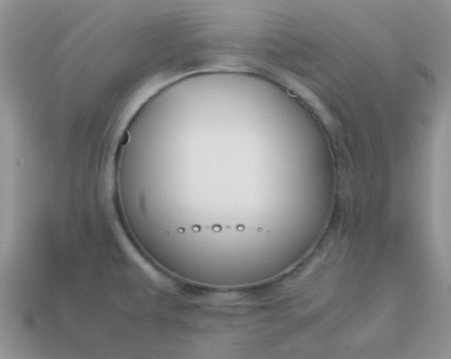 X0000114151479200910221536