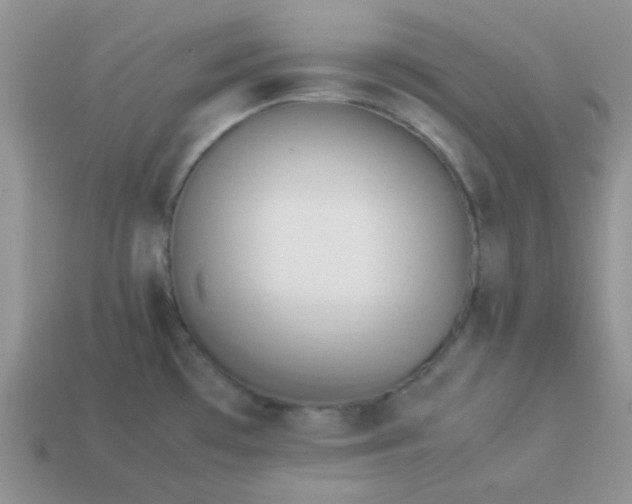 X0000114151481200910221536