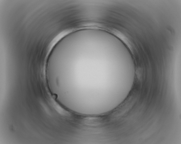 X0000114151482200910221536