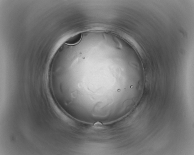 X0000114151483200910221536