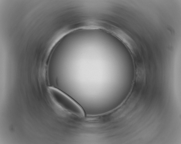 X0000114151484200910221536