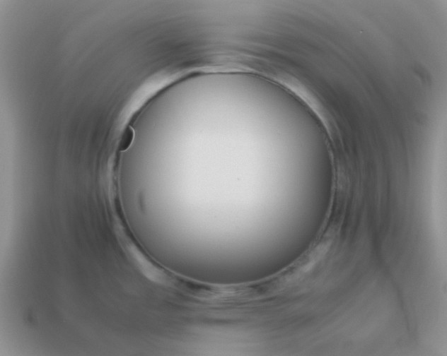 X0000114151485200910221536