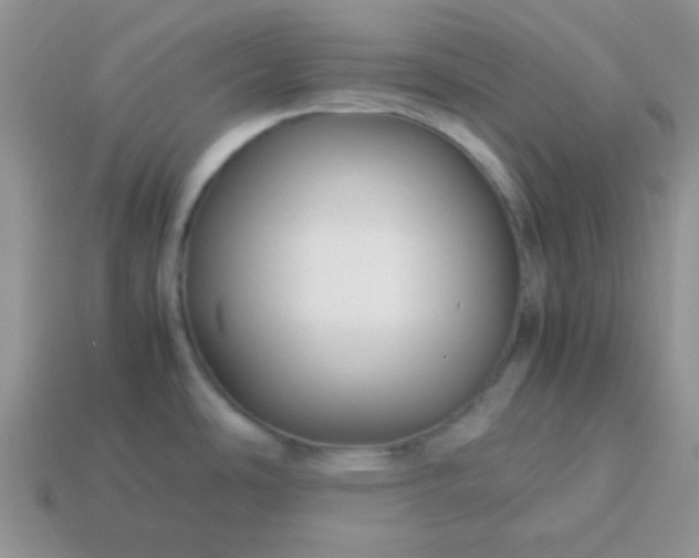 X0000114151486200910221536