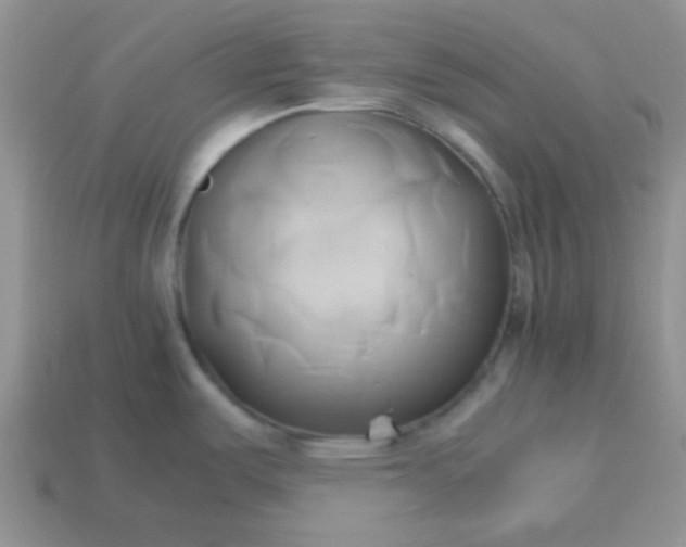 X0000114151487200910221536