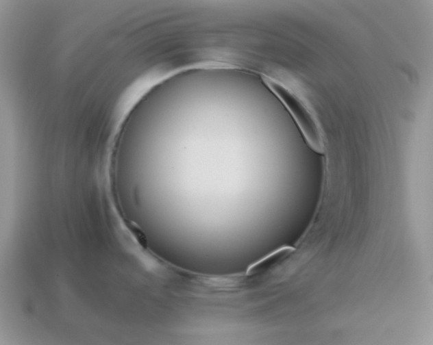 X0000114151488200910221536