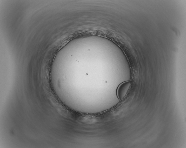 X0000114151489200910221535