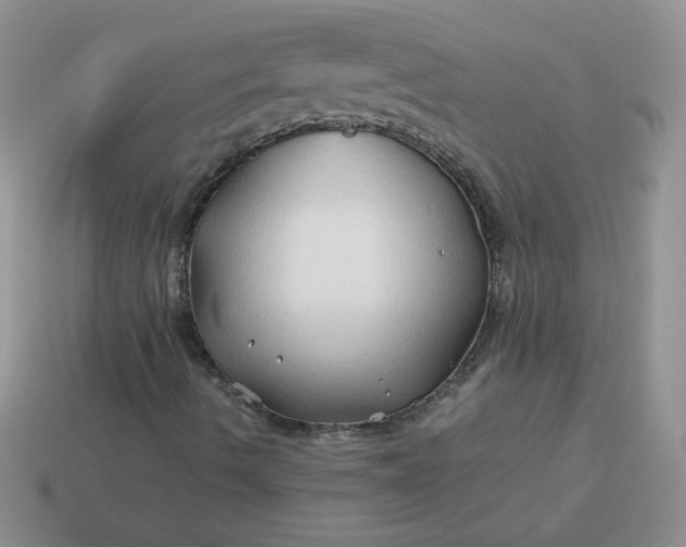 X0000114151490200910221535