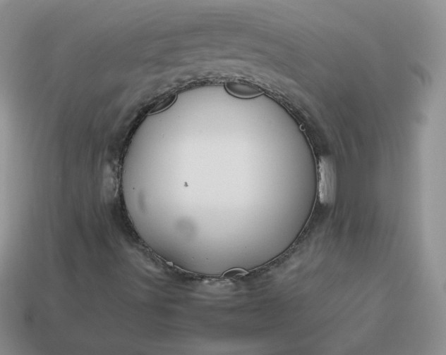 X0000114151491200910221535