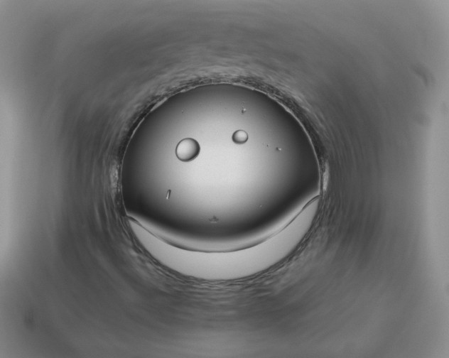 X0000114151492200910221535