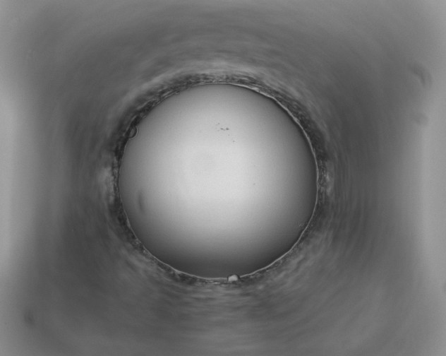 X0000114151493200910221535