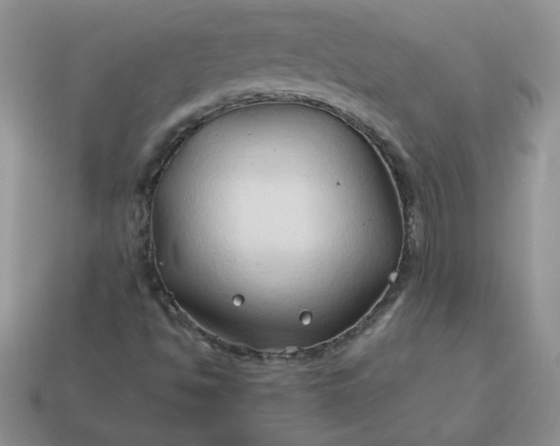 X0000114151494200910221535