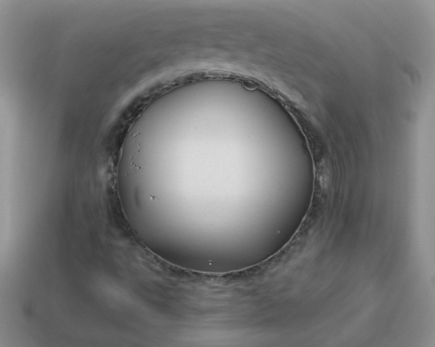 X0000114151495200910221535