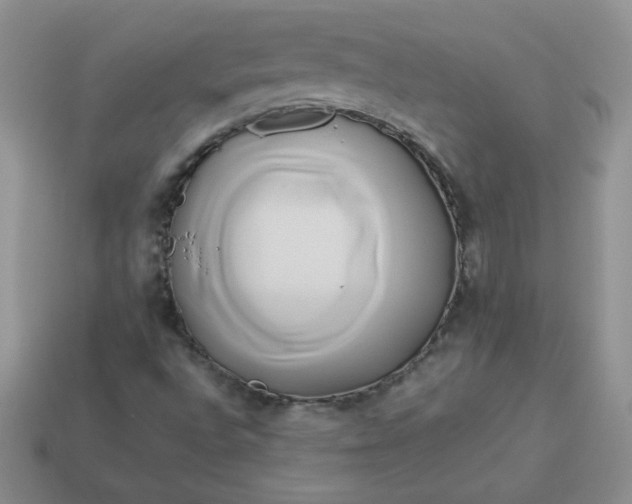 X0000114151496200910221535