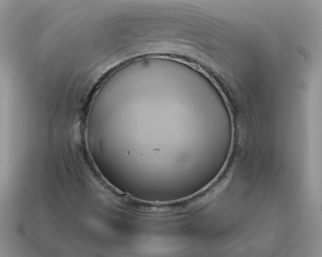 X0000114151497200910221535