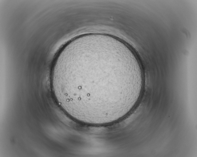 X0000114151498200910221535