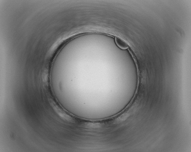 X0000114151499200910221535