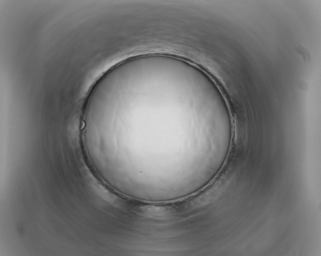 X0000114151500200910221535