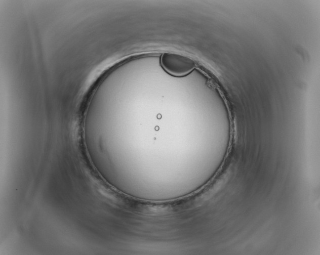 X0000114151501200910221535