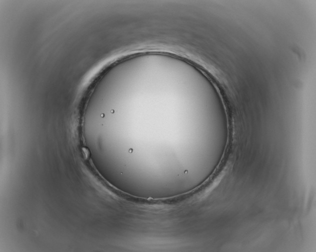 X0000114151502200910221535