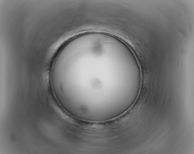 X0000114151503200910221535