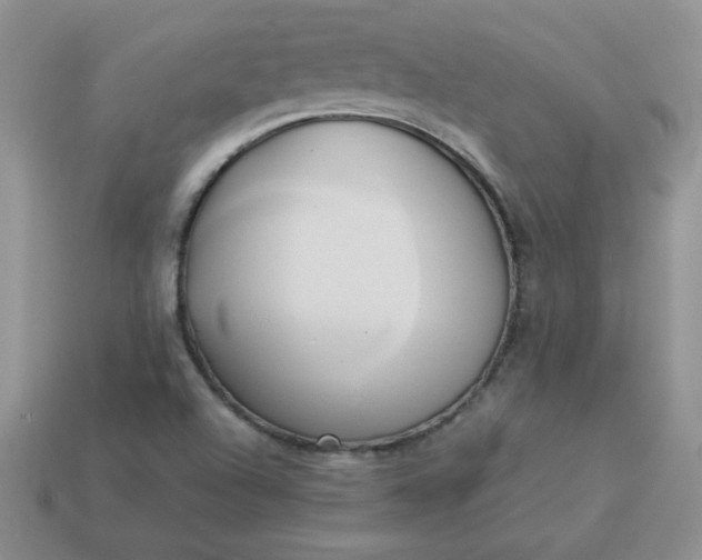 X0000114151504200910221535