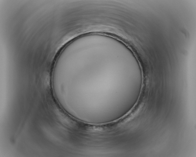 X0000114151505200910221535