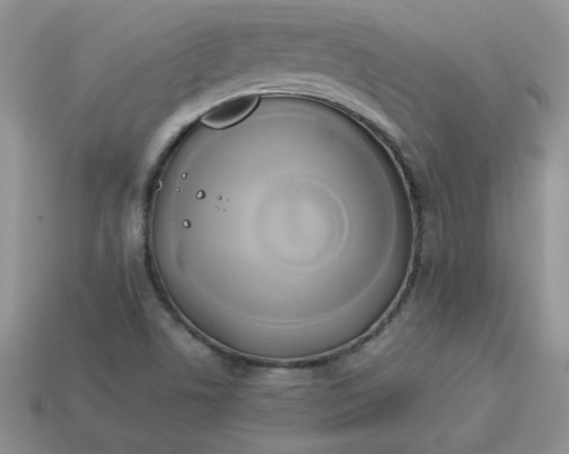 X0000114151506200910221535