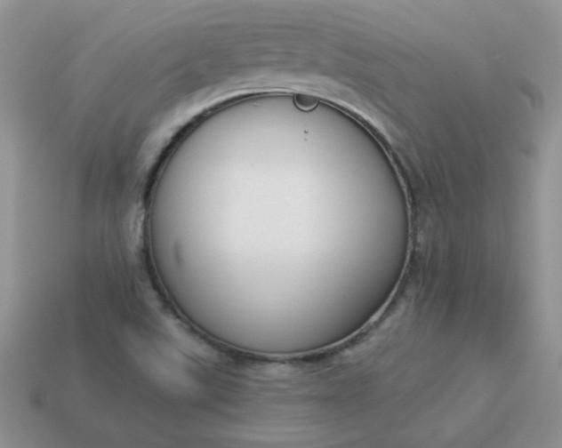 X0000114151507200910221535