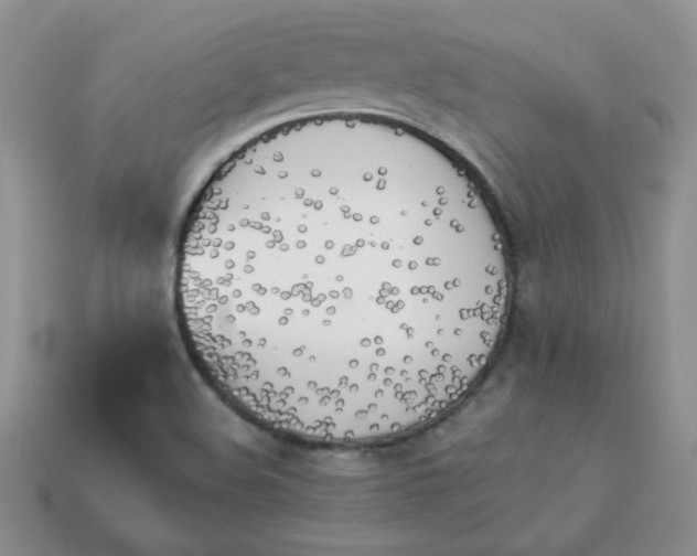 X0000114151508200910221535