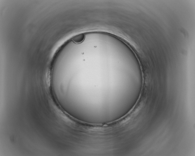 X0000114151510200910221535