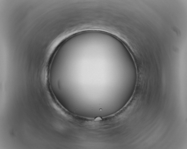 X0000114151511200910221535