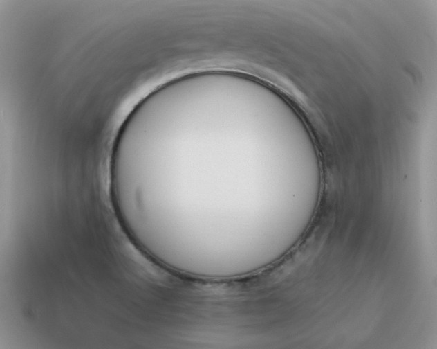 X0000114151512200910221535