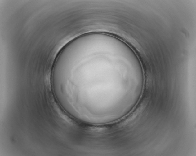 X0000114151513200910221535