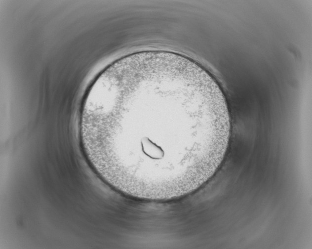 X0000114151514200910221535