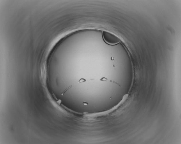 X0000114151515200910221535