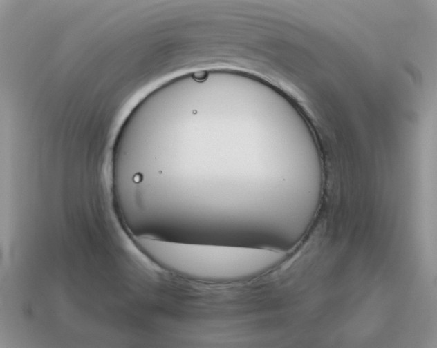 X0000114151516200910221535