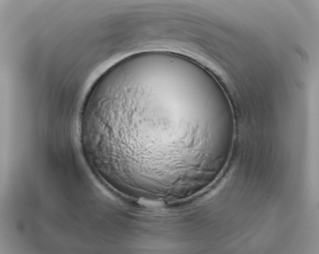 X0000114151517200910221535