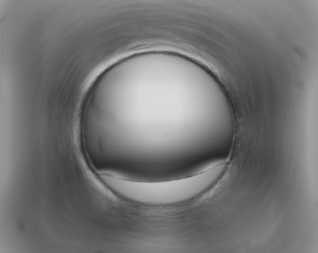 X0000114151518200910221535